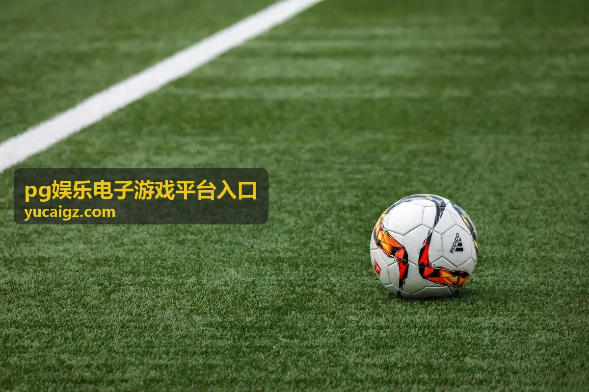 pg娱乐电子游戏平台入口 入口指南封面