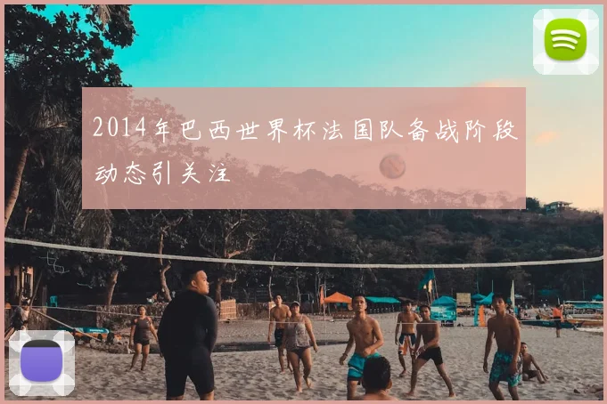 2014年巴西世界杯法国队备战阶段动态引关注