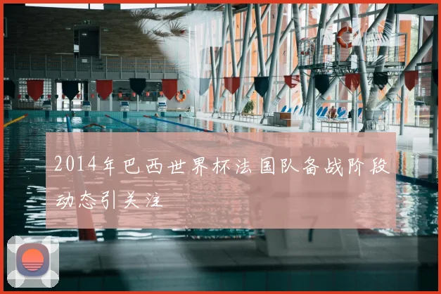2014年巴西世界杯法国队备战阶段动态引关注